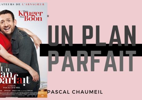 Un plan parfait de pascal Chaumeil avis